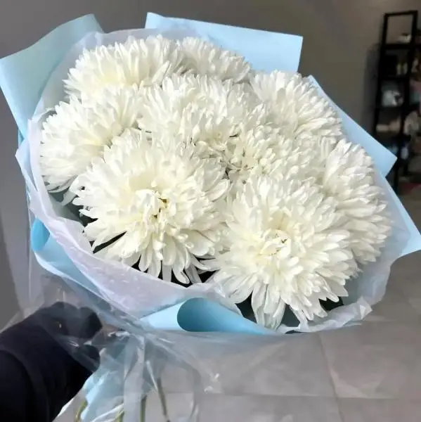 Букет из 9 белых хризантем